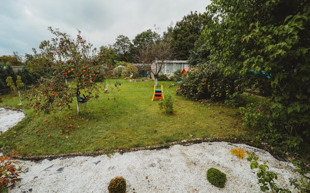 a yard with a lawn chair in the middle of it